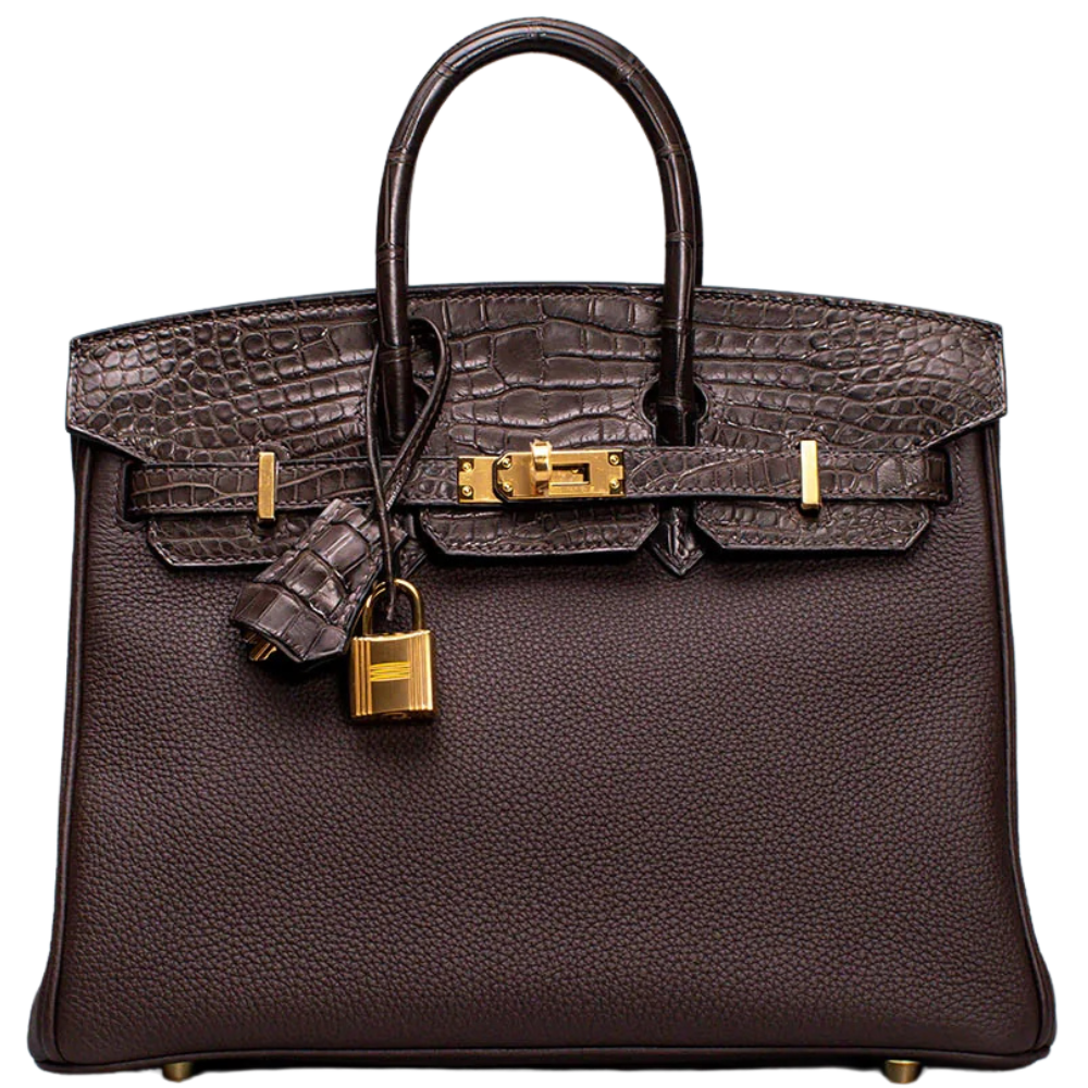 Birkin 25 Touch Ebene