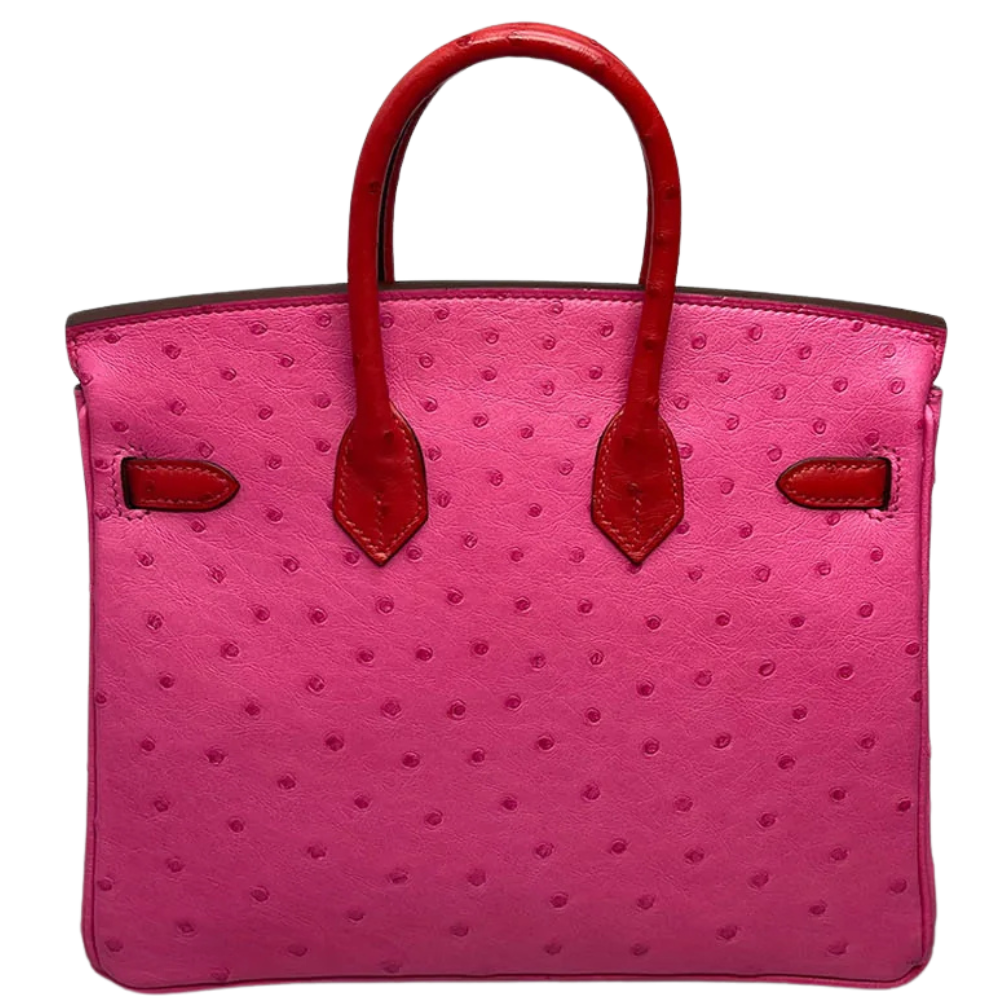Birkin 25 Touch Rouge Vif / Rose Tyrien