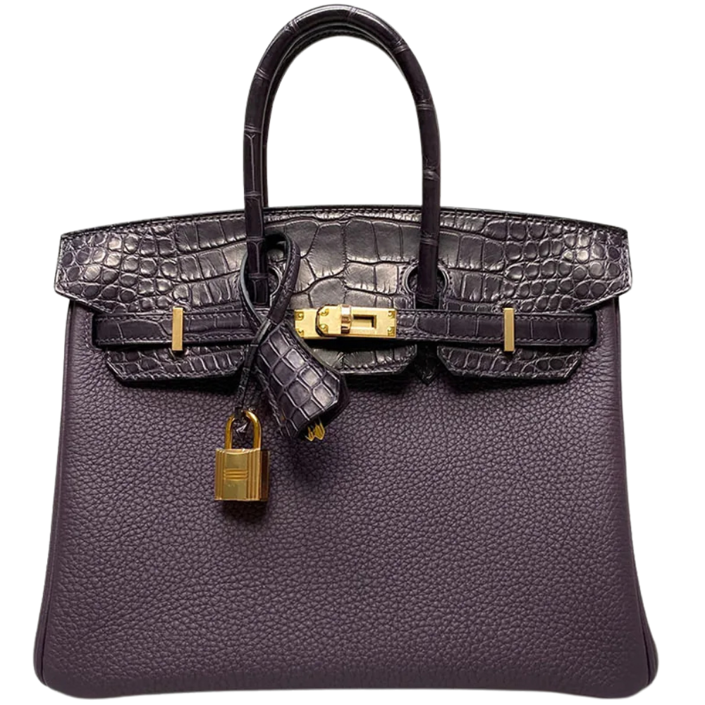 Birkin 25 Touch Raisin