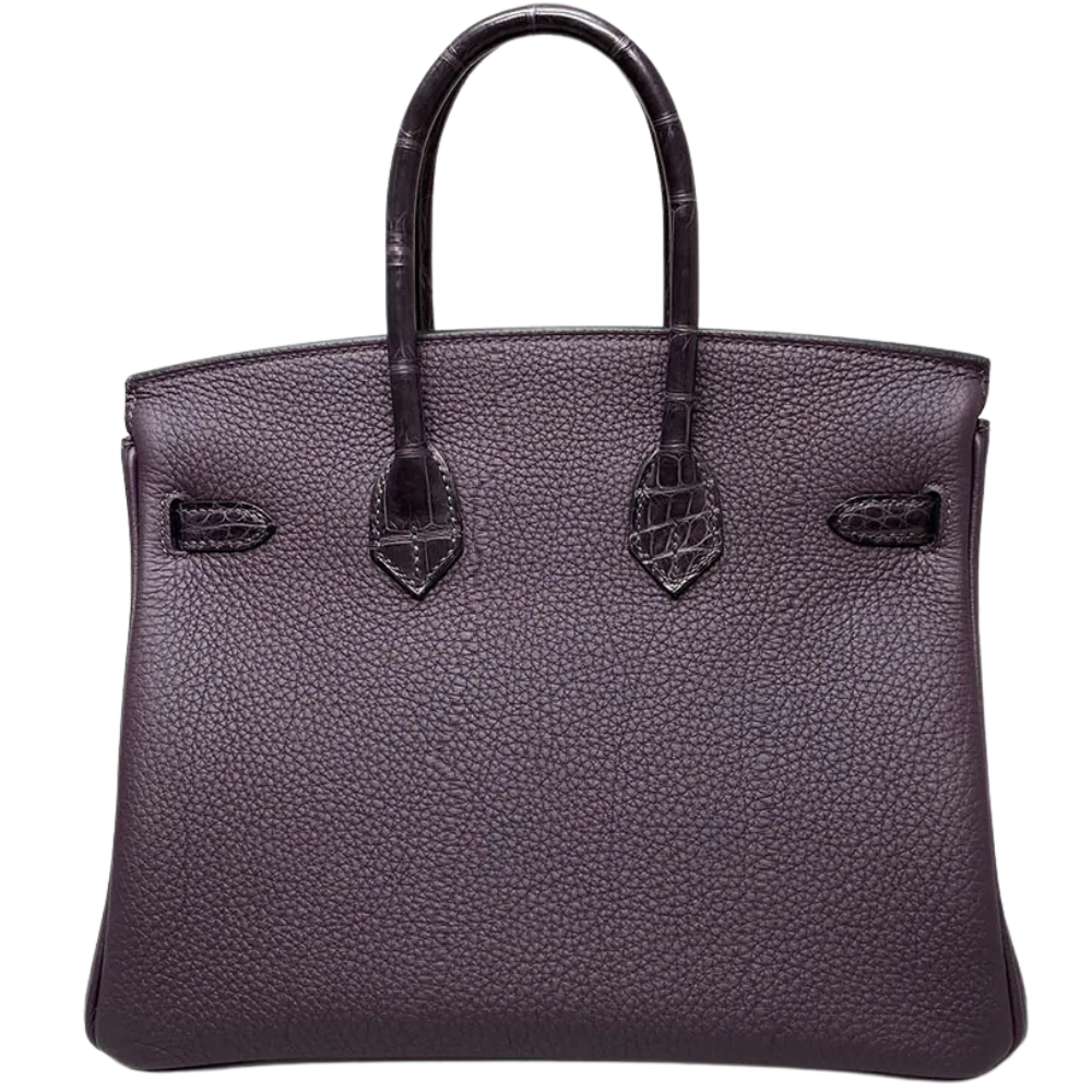 Birkin 25 Touch Raisin