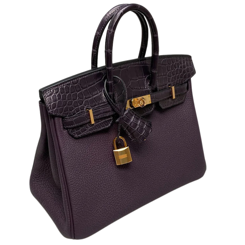 Birkin 25 Touch Raisin