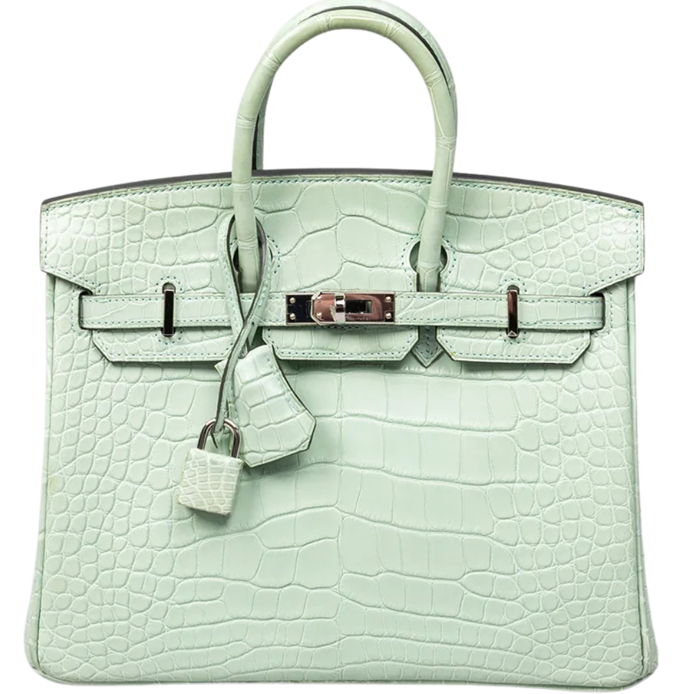 Birkin 25 Vert d'eau Matte Alligator