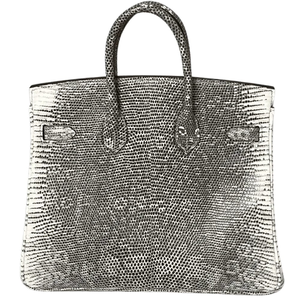 Birkin 25 Ombré