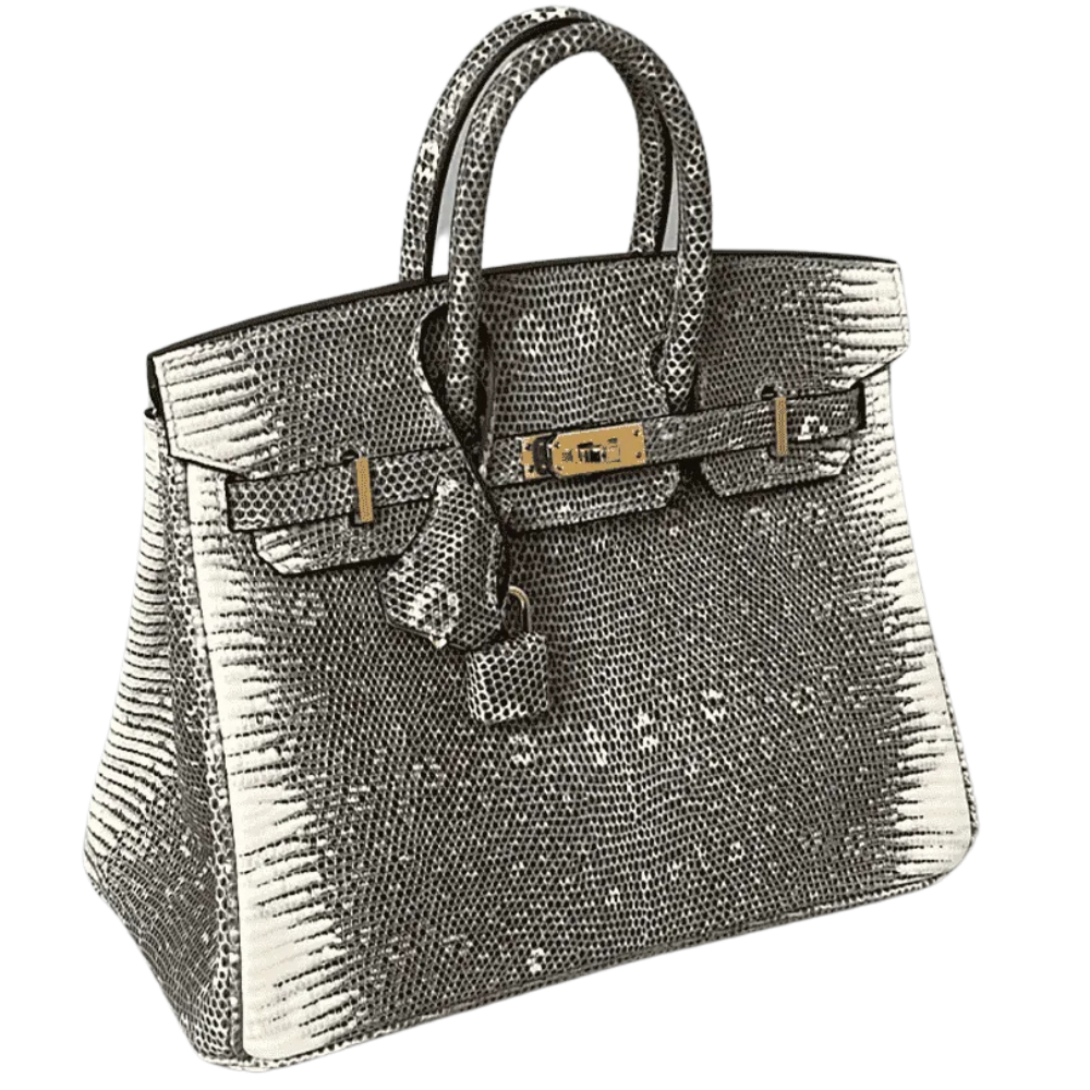 Birkin 25 Ombré