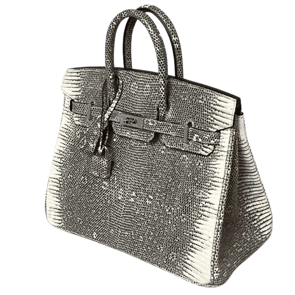 Birkin 25 Ombré