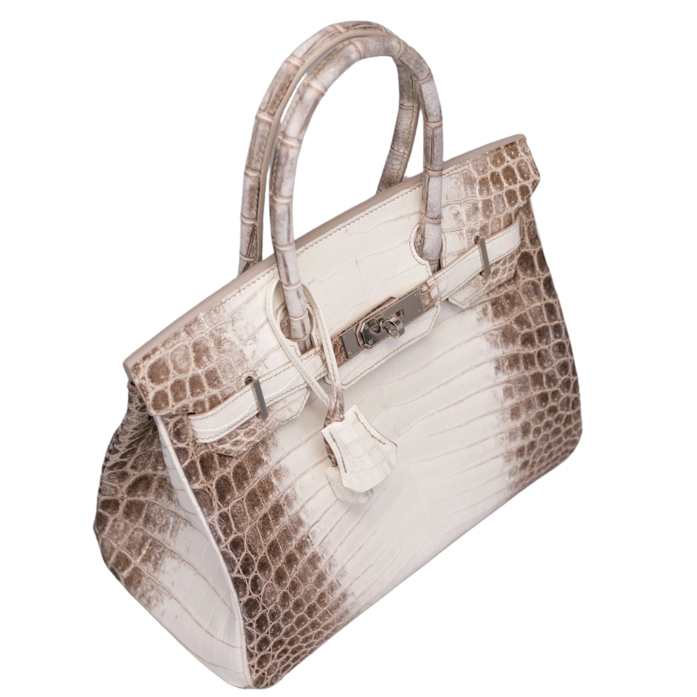 Birkin 30 Himalaya Blanc
