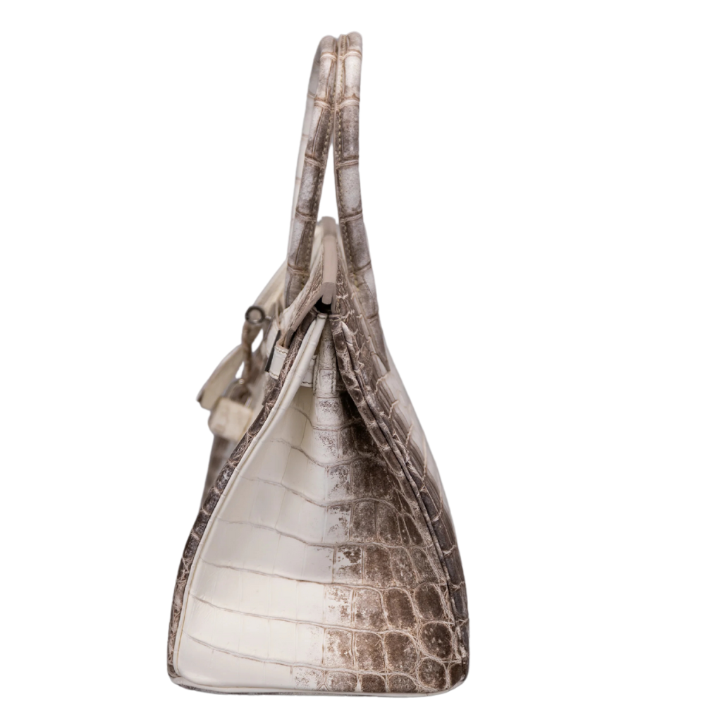 Birkin 30 Himalaya Blanc