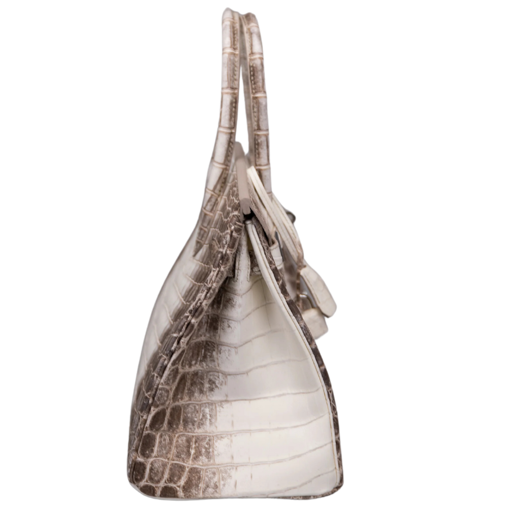 Birkin 30 Himalaya Blanc
