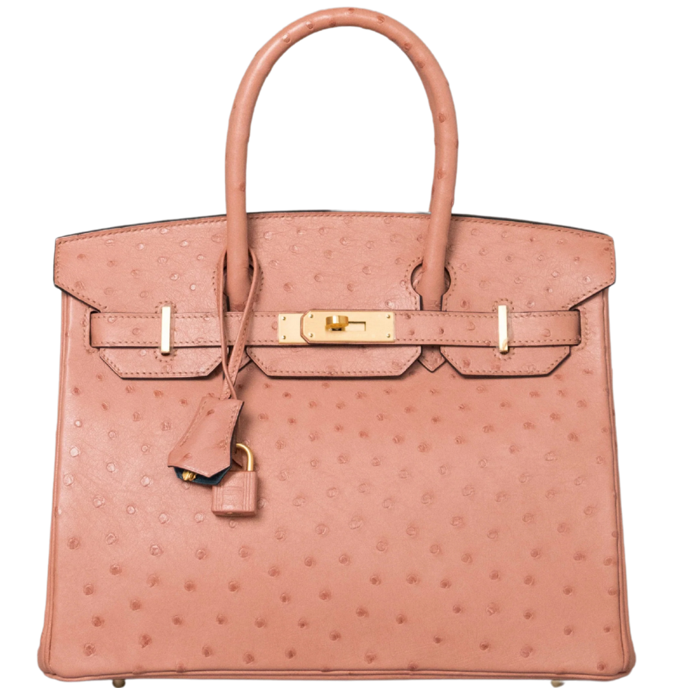 Birkin 30 Terre Cuite