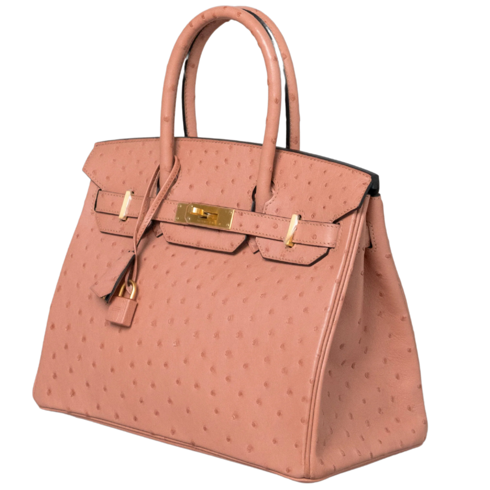 Birkin 30 Terre Cuite