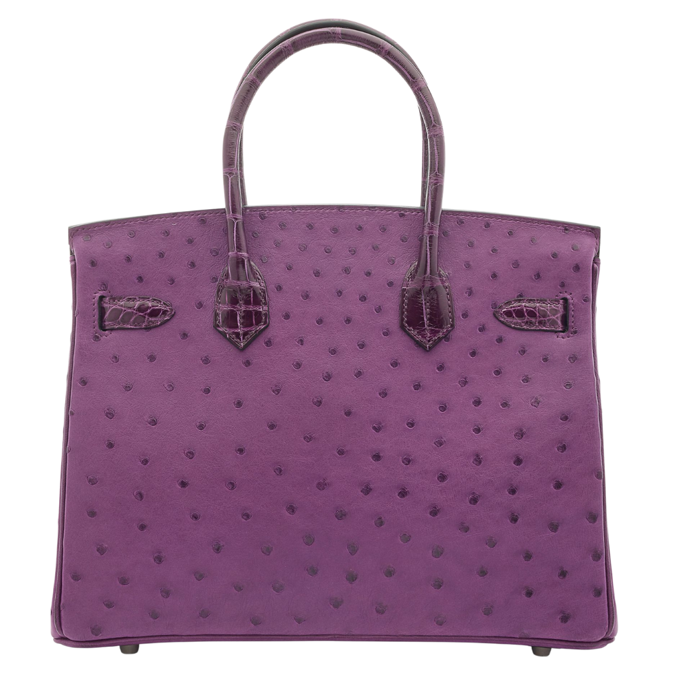 Birkin 30 Touch Violet