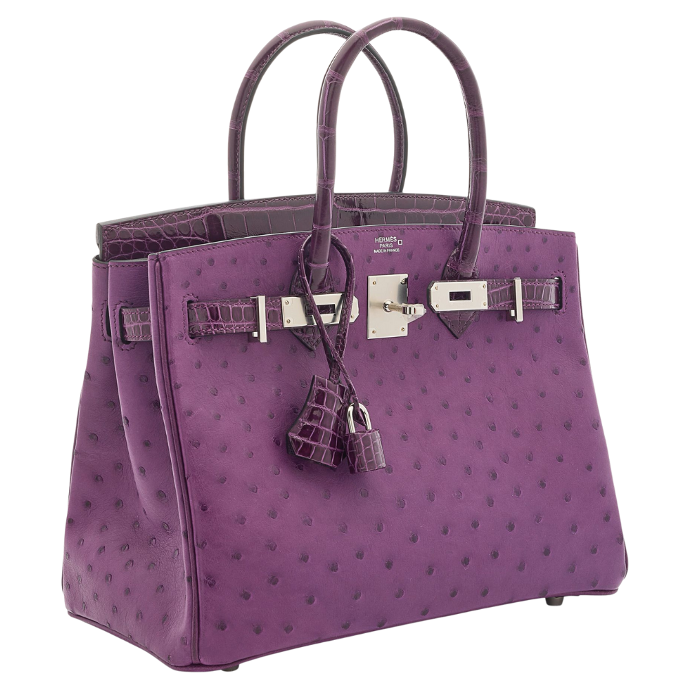 Birkin 30 Touch Violet
