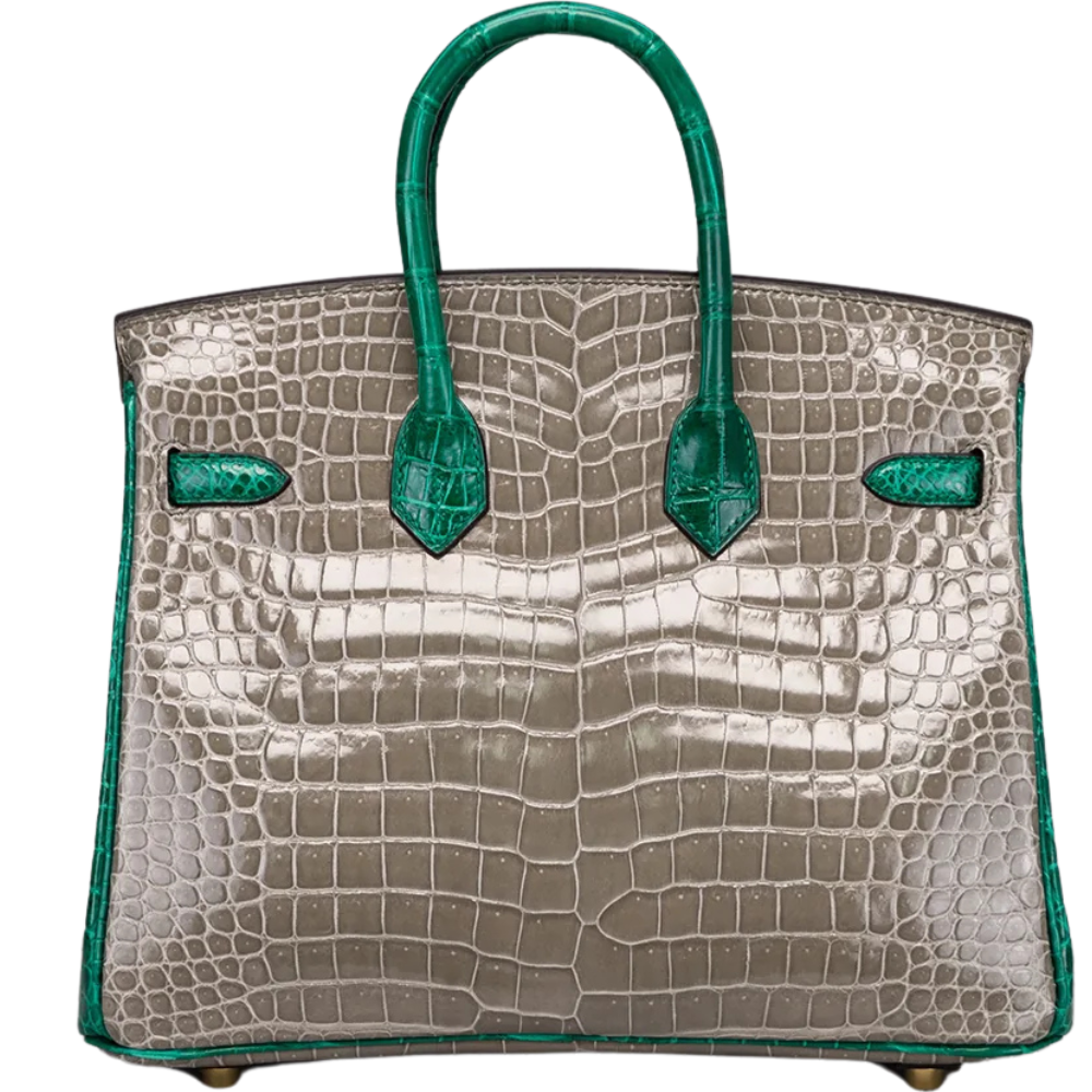 Birkin 25 HSS Gris Tourtelle
