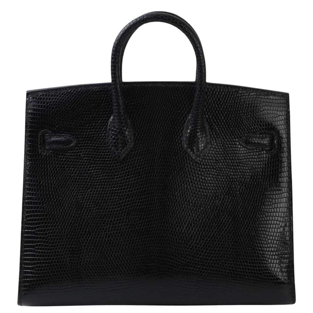 Hermes Birkin 20 Black Lizard back view, highlighting the clean micro proportions, intricate natural scale texture, and protective base feet.