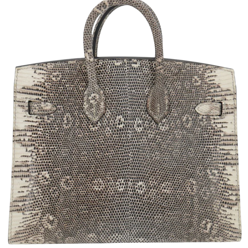 Hermes Birkin 20 Ombre Lizard back view, highlighting the symmetrical natural ring patterns of the lizard skin, clean micro proportions, and protective base feet.
