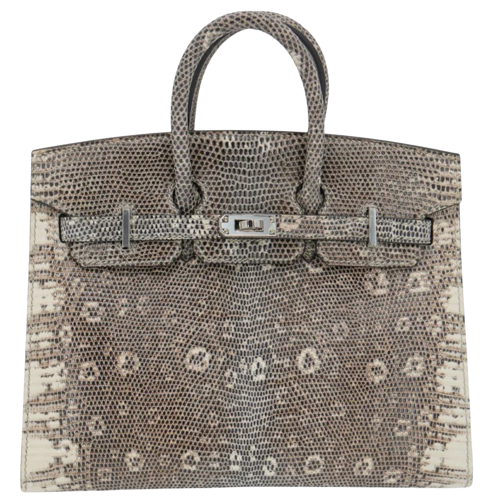 Hermes Birkin 20 Ombre Lizard front view, showcasing the mini structured silhouette, natural black and white ring-marked exotic lizard skin, dual top handles, and silver turn-lock hardware.