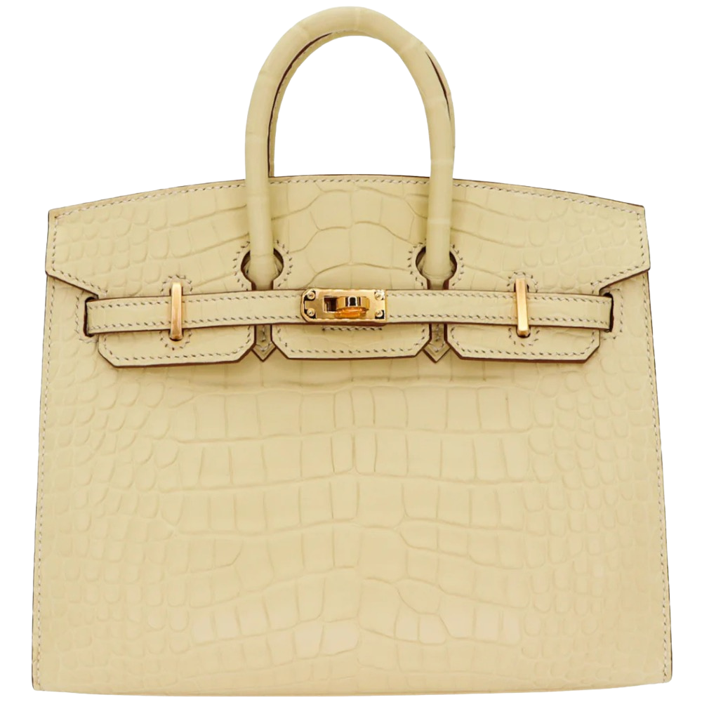 Hermes Birkin 20 Vanille Matte Alligator front view, showcasing the mini structured silhouette, creamy vanilla matte alligator scales, dual top handles, and gold turn-lock hardware.
