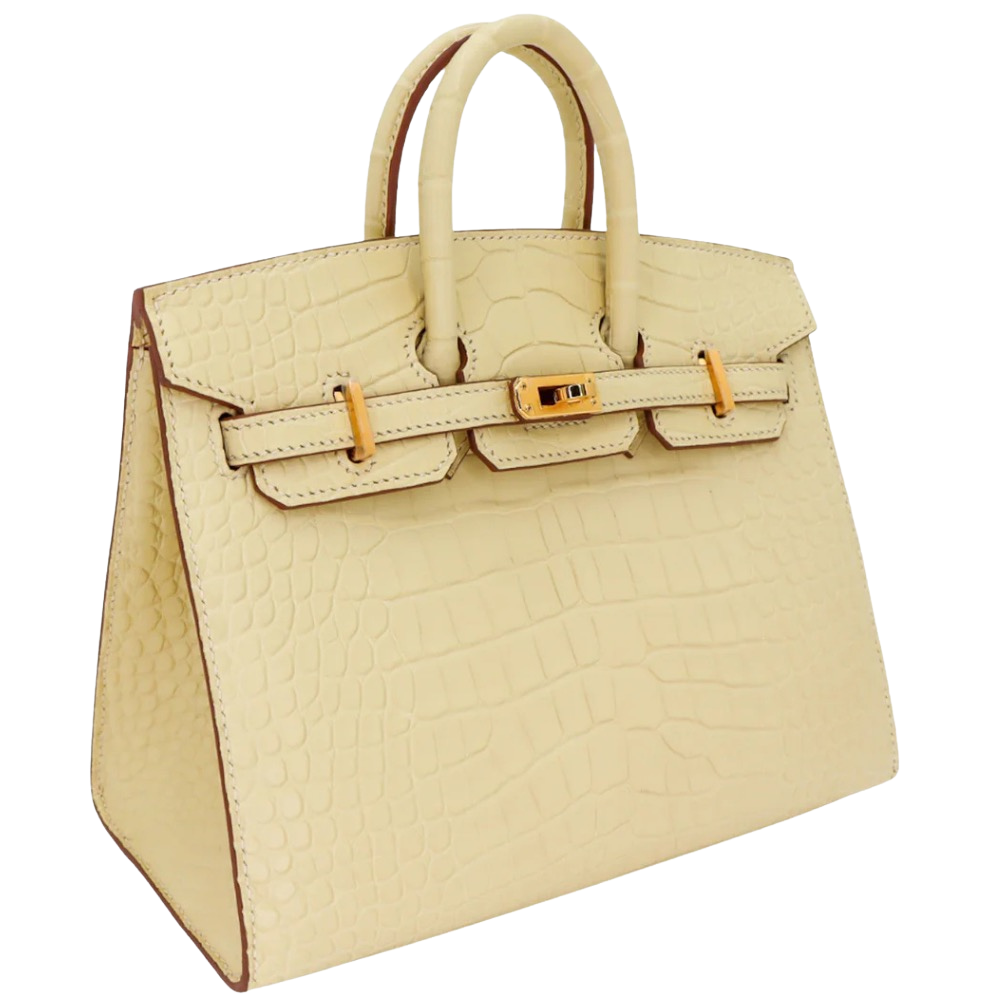 Hermes Birkin 20 Vanille Matte Alligator left side profile, displaying the crisp side gussets and rich texture of the matte alligator skin.