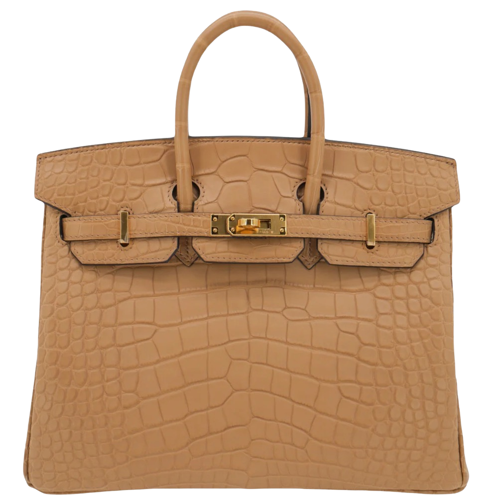 Birkin 25 Chai Matte Alligator