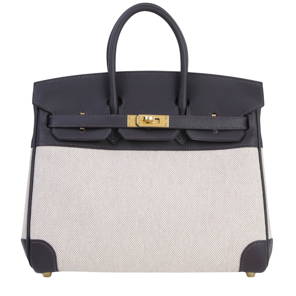 Hermes Birkin 25 Ecru Bahi Brun and Beige Swift canvas front view, showcasing the mini structured silhouette, woven ecru canvas body, rich brown leather trim, dual handles, and gold turn-lock hardware.