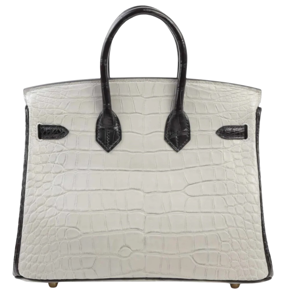 Hermes Birkin 25 Gris Perle Black Matte Alligator back view, highlighting the symmetrical exotic scale patterns, soft matte finish, and protective metal feet.