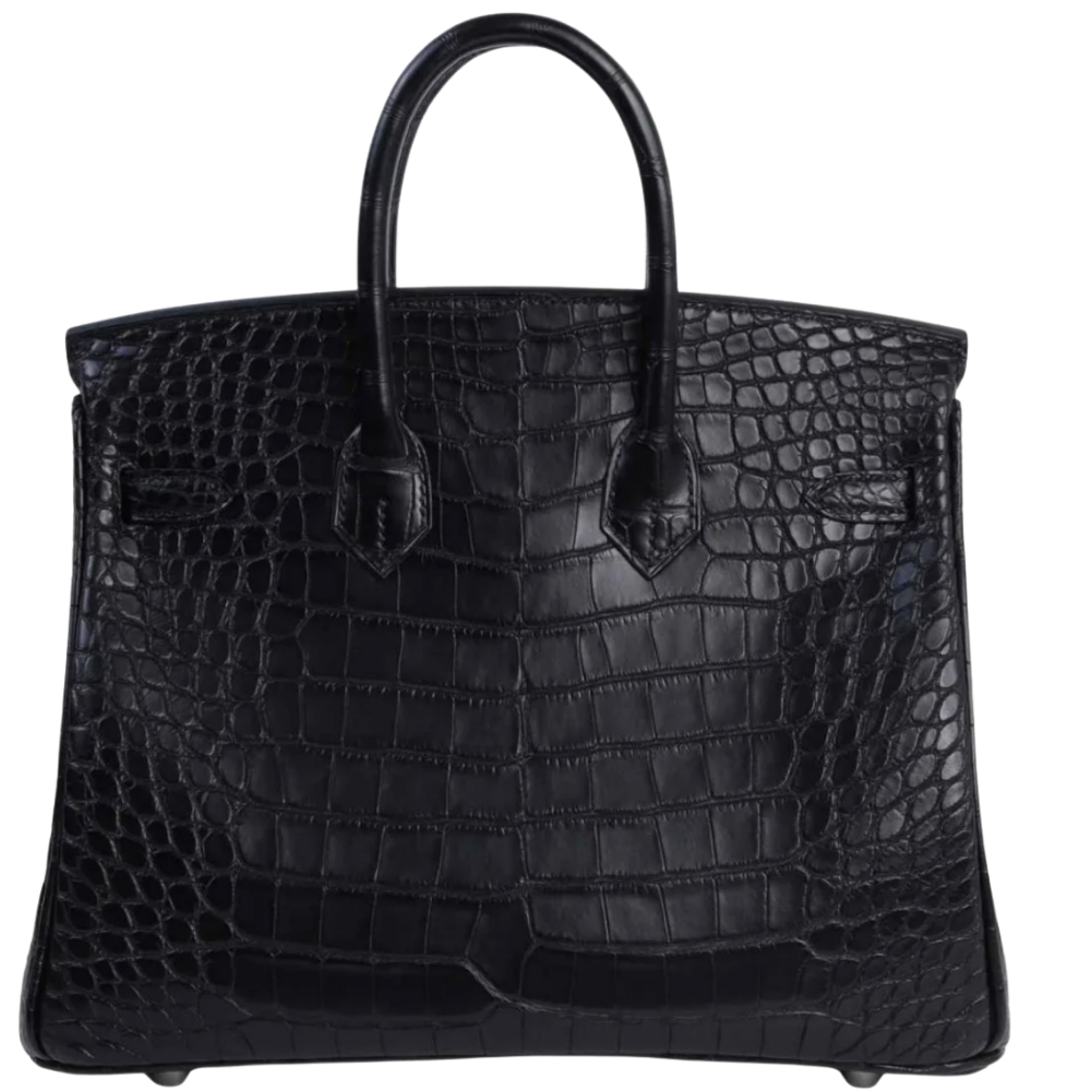 Hermes Birkin 25 Matte Alligator Black back view, highlighting the flawless alignment of exotic scales and pristine craftsmanship.