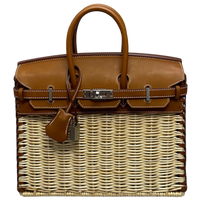 Birkin 25 Picnic Barenia