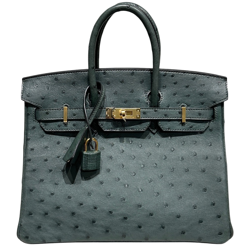 Hermes Birkin 25 Vert Foncé Ostrich front view, showcasing the mini structured silhouette, rich dark green exotic ostrich leather with distinct quills, dual top handles, and gold turn-lock hardware.