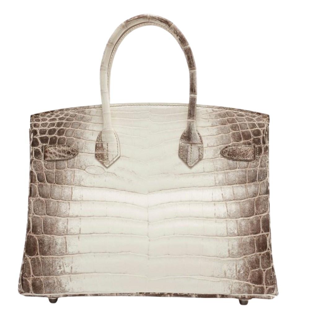 Hermes Birkin 30 Himalaya Blanc Matte Alligator back view, highlighting the natural ombre gradient pattern, smooth matte finish, and protective metal feet.