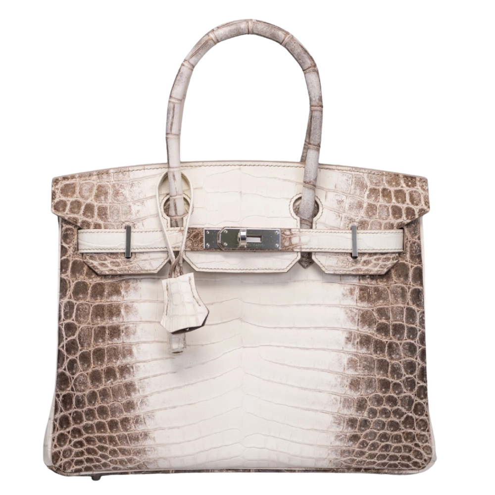 Hermes Birkin 30 Himalaya Blanc Matte Alligator front view, showcasing the iconic gradient white and taupe exotic skin, dual top handles, and silver turn-lock hardware.