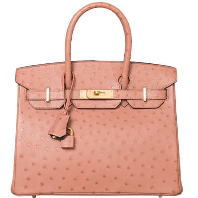 Birkin 30 Terre Cuite