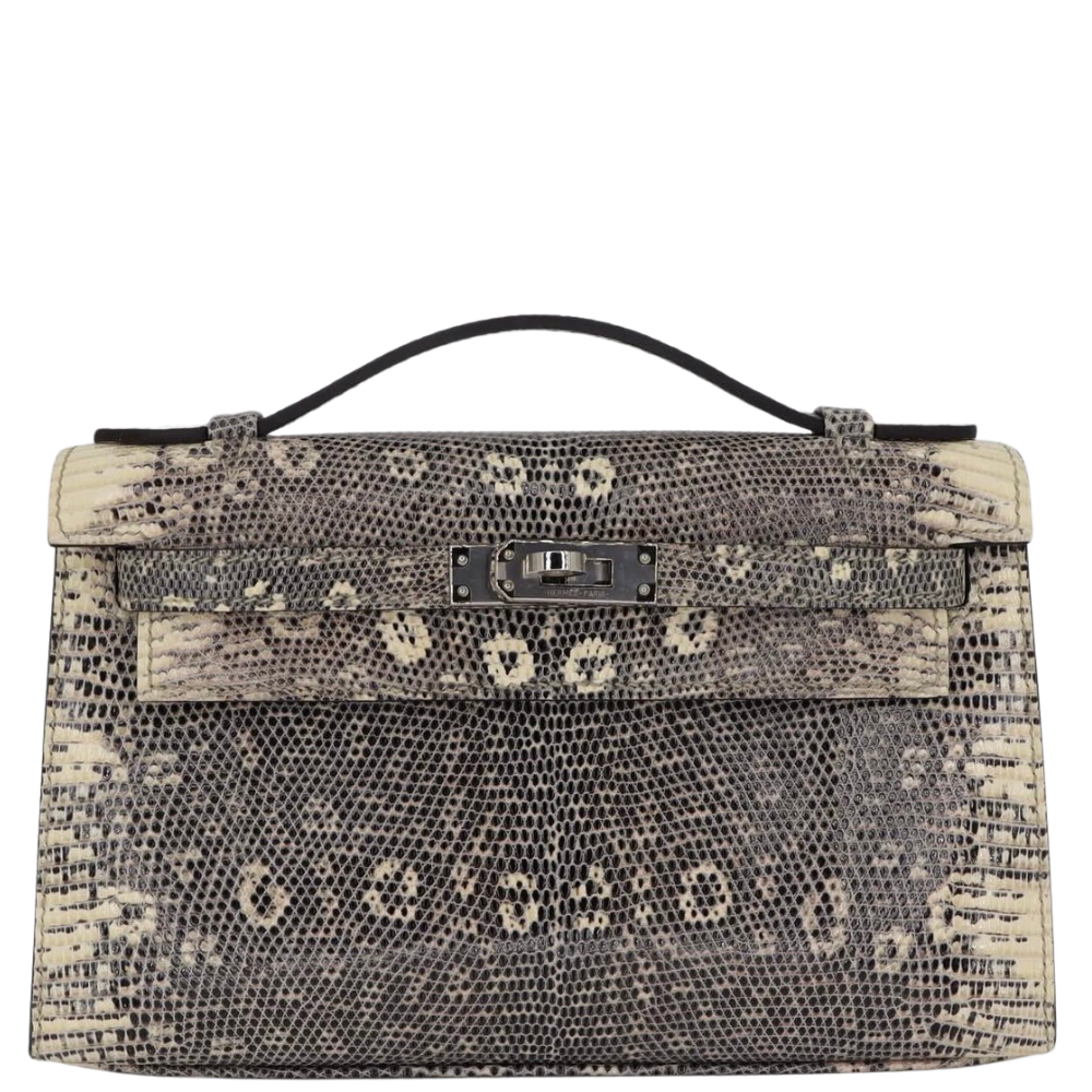 Hermes Kelly Pochette Ombre Lizard front view, showcasing the symmetrical natural lizard markings and structured clutch silhouette.