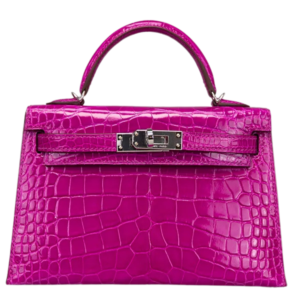 Kelly 20 Rose  Sherazade Alligator